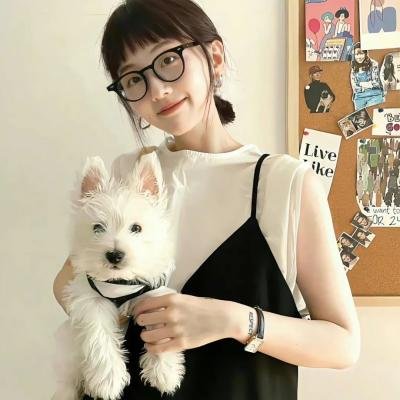 铁骑金军